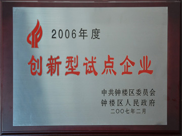 創(chuàng)新型試點(diǎn)企業(yè)